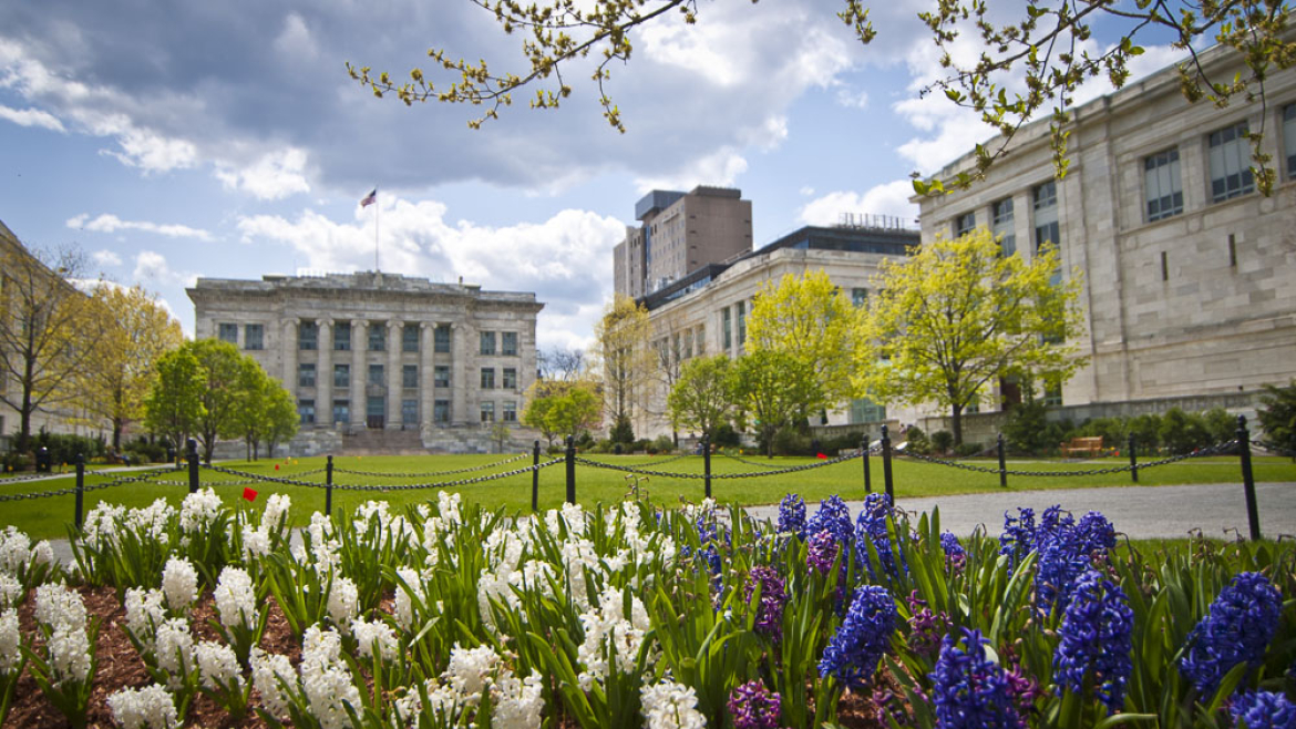 Flowers on the Harvard Medical School quad
